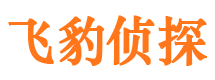 石河子外遇调查取证